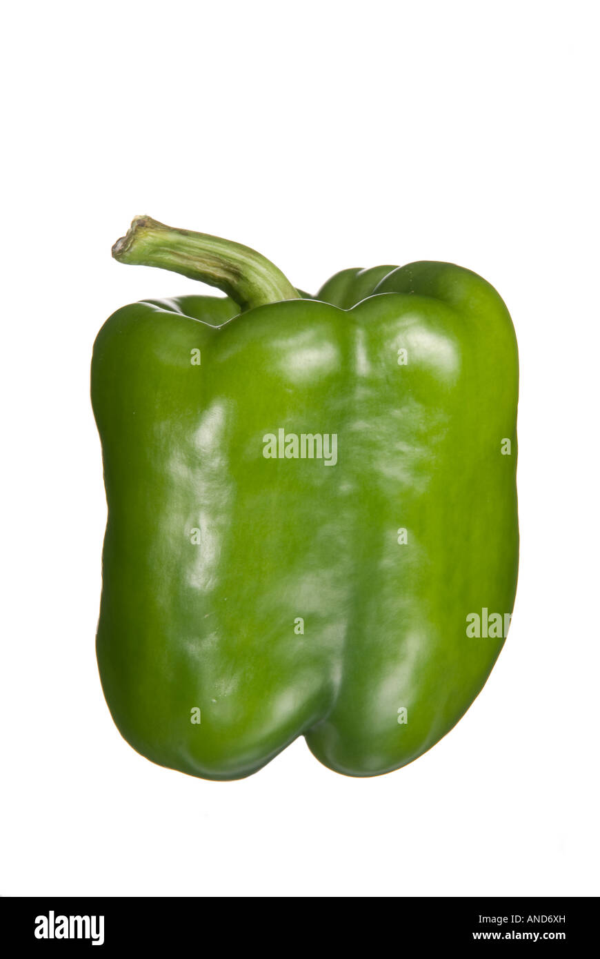 Eine isolierte grüne Paprika ist eine beliebte Ergänzung zu Pizza Salat und viele andere leckere Gerichte Stockfoto