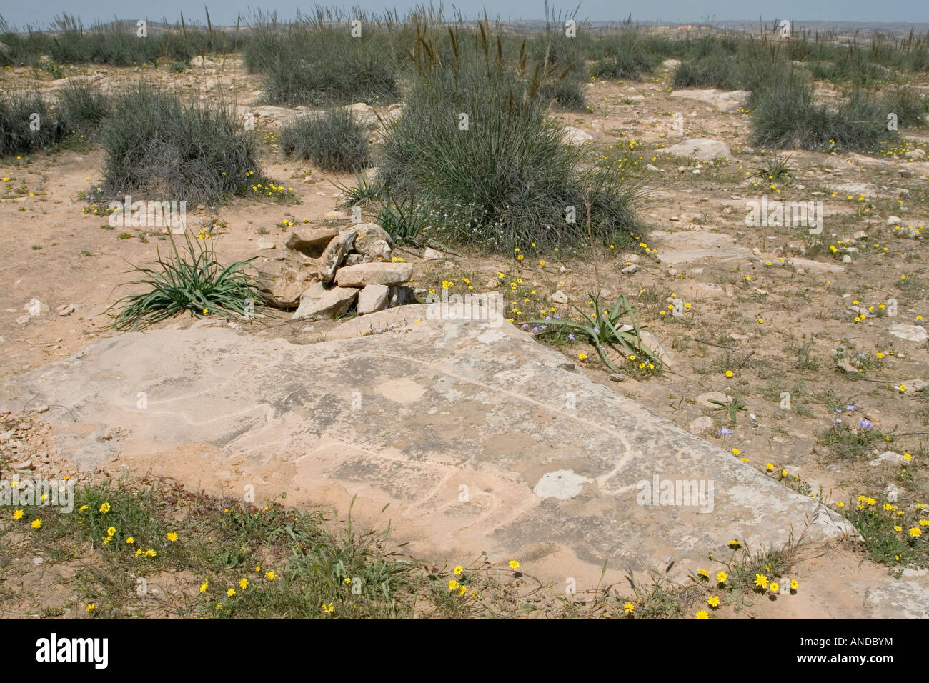 Sidi al-Gharib in der Nähe von Tarhouna, Libyen. Rhinoceros Steinbildhauerei Petroglyph 8. Millennium B.C., heute ausgestorbenen in Nordafrika. Stockfoto
