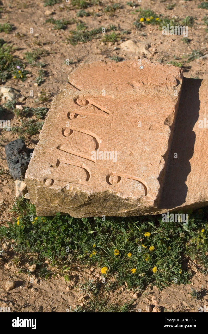 Qasr Douga Mausoleum in der Nähe von Tarhouna, Libyen. Gebrochenen Stein mit punischen Inschrift Stockfoto