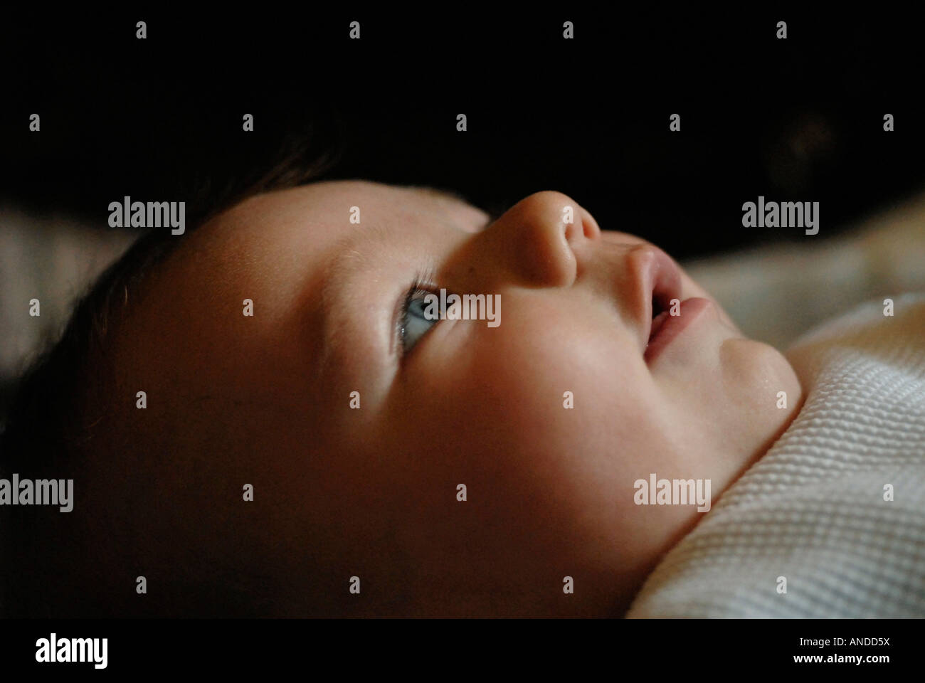 Blue eyed Baby Boy (1 Monat) Stockfoto