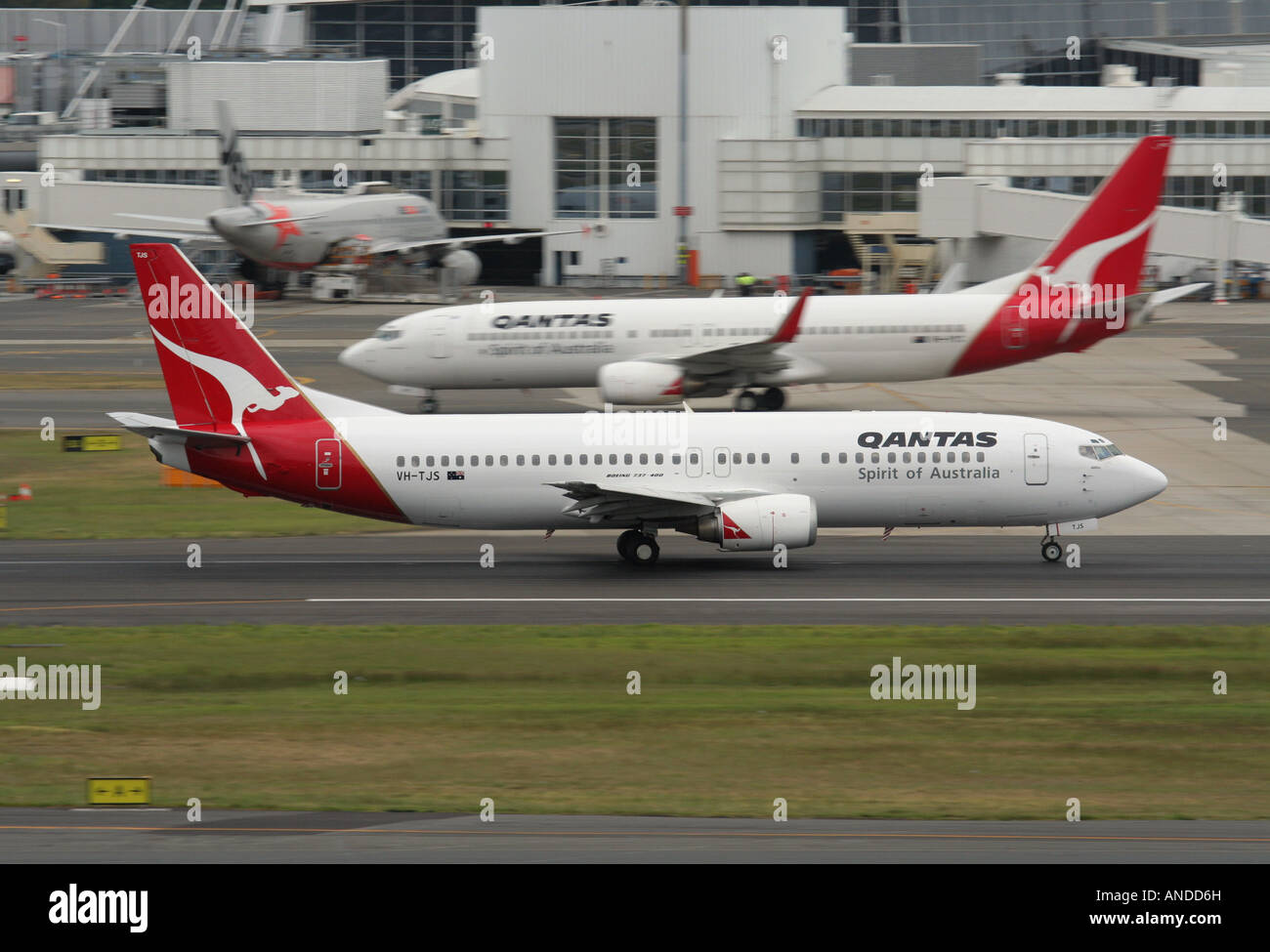 Eine Qantas Boeing 737-400 kommt an einer späteren 737-800 vorbei, während sie die Startbahn hinunter zum Start vom Flughafen Sydney beschleunigt. Flugverkehr an einem belebten Flughafen. Stockfoto