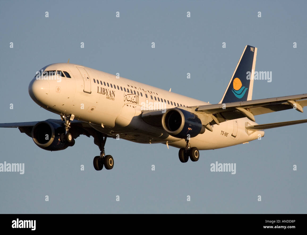 Libyan Airlines Airbus A320 Landung bei Sonnenuntergang Stockfoto