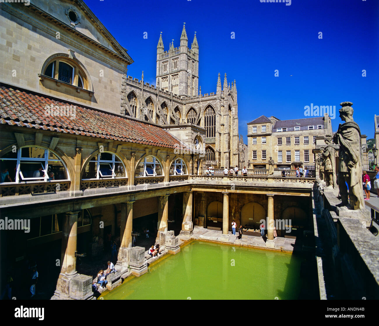 Das große Bad bei den römischen Bädern und Bath Abbey in Bath Somerset England Stockfoto