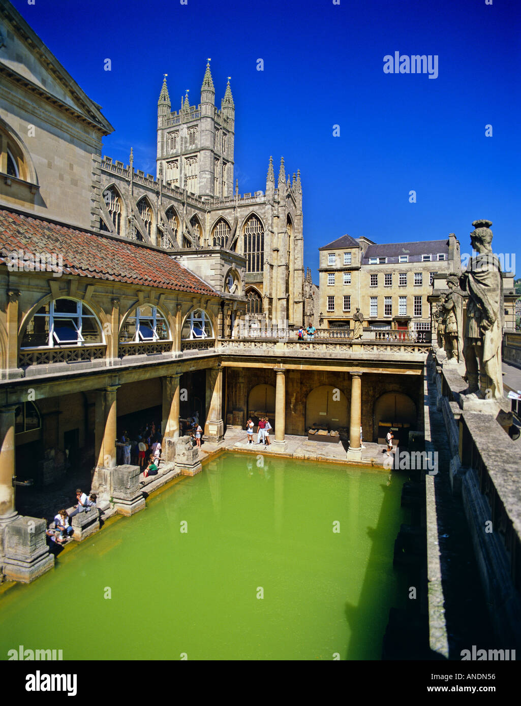 Das große Bad bei den römischen Bädern und Bath Abbey in Bath Somerset England Stockfoto