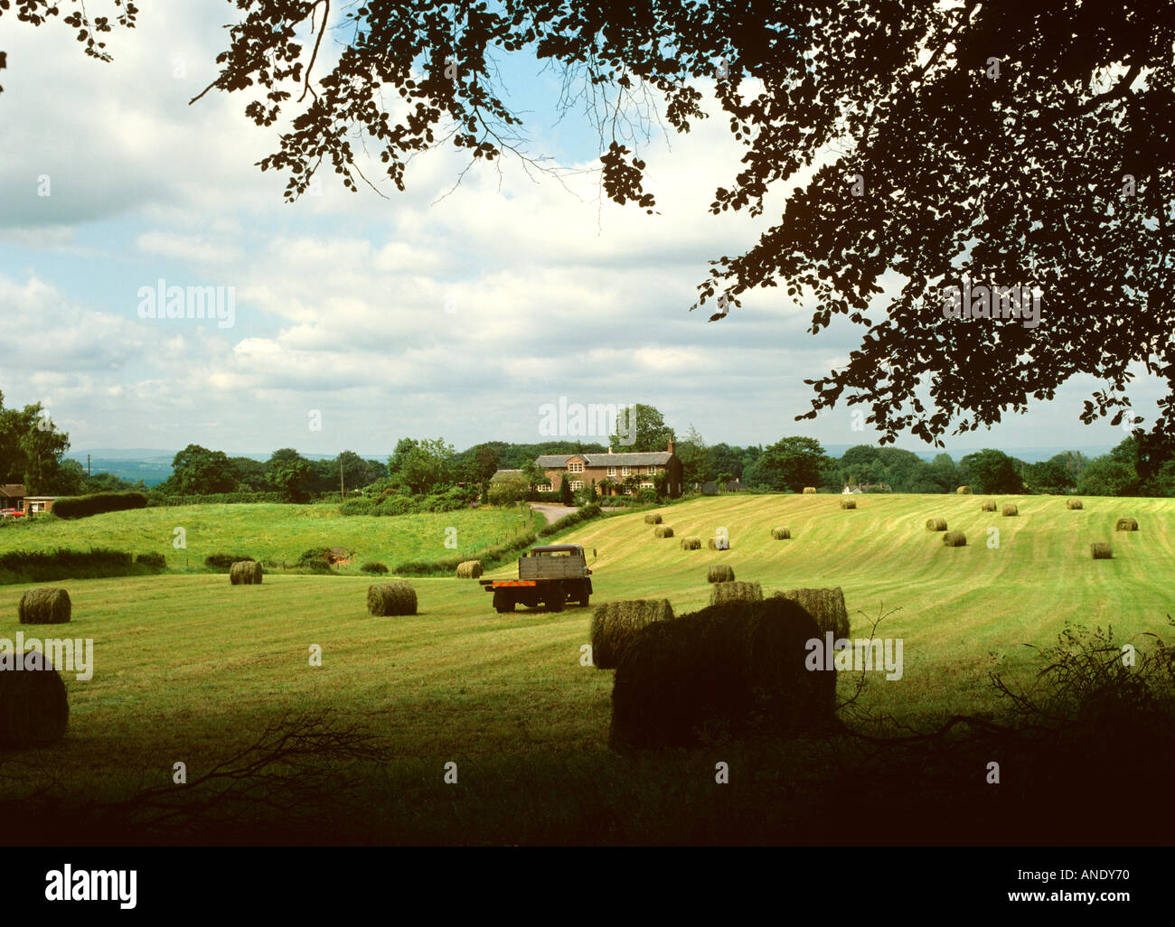 Cheshire Mottram St Andrew Heuernte Stockfoto