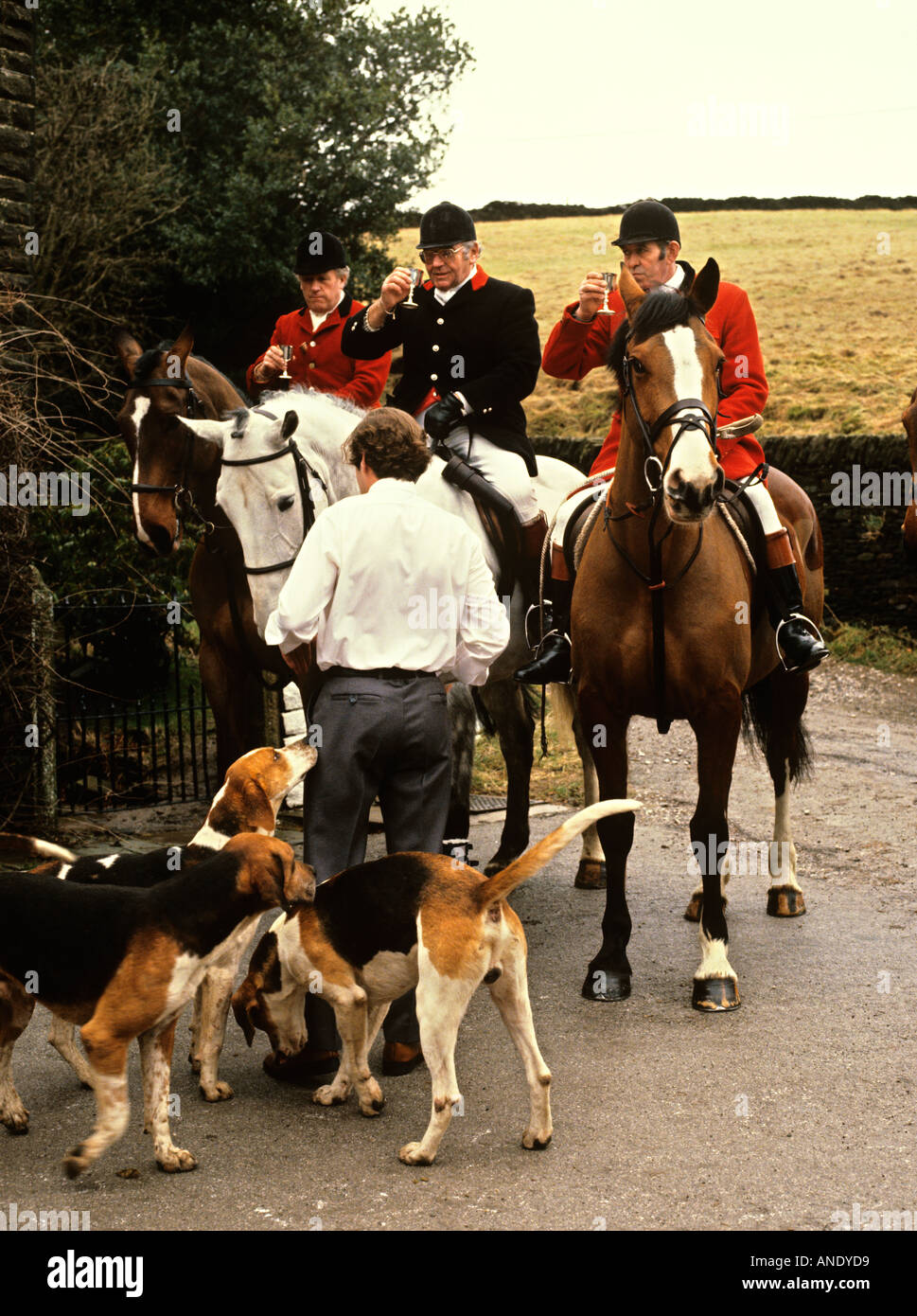 Cheshire Bollington Fuchsjagd Trinkbecher Steigbügel vor der Jagd mit Hunden vor Verbot Stockfoto