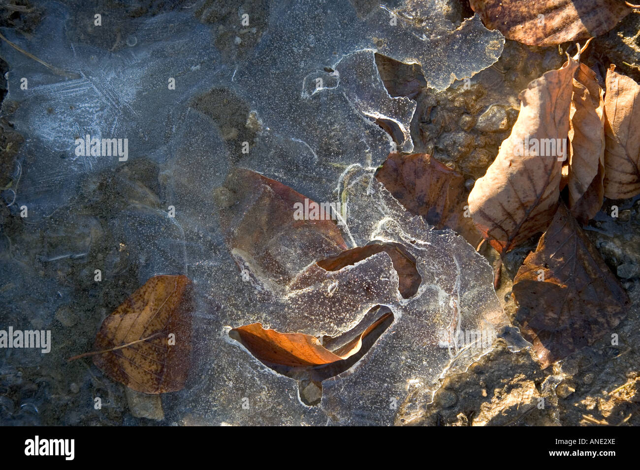 Gefrorene Pfütze auf einer Landstrasse Oxfordshire, Vereinigtes Königreich Stockfoto