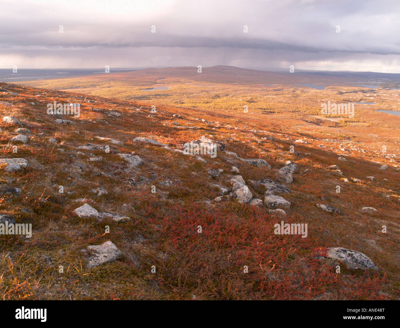 Blick über die Landschaft in Pöyrisjärvi Wildnis Finnlands Stockfoto