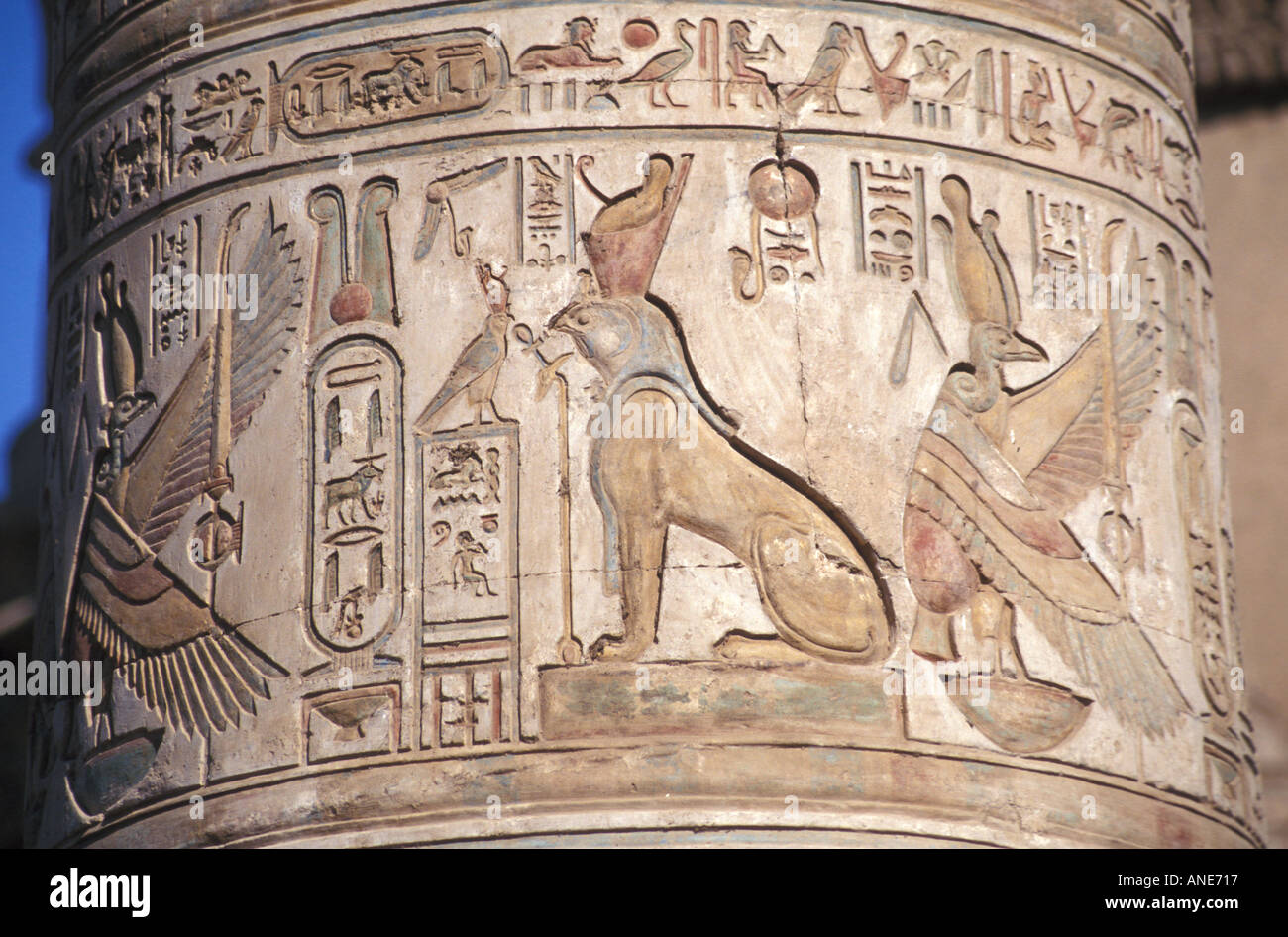 Detail der farbigen Hieroglyphen an eine Säule im Tempel von Sobek und Haroeris in Kom Ombo, Ägypten Stockfoto