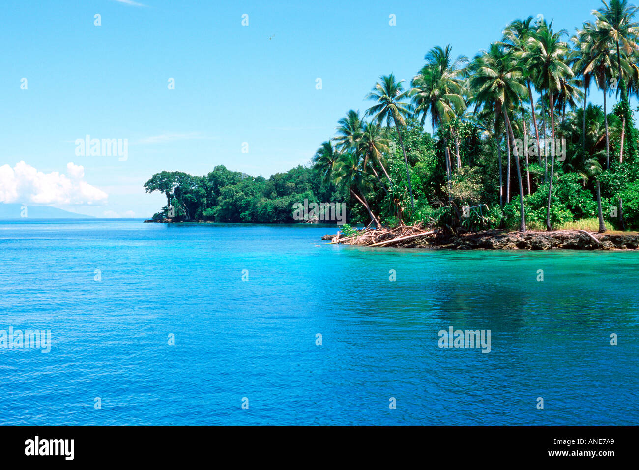 Tropische Insel und das klare Wasser in der Nähe von Madang Papua-Neu-Guinea-Bismarck-See Stockfoto