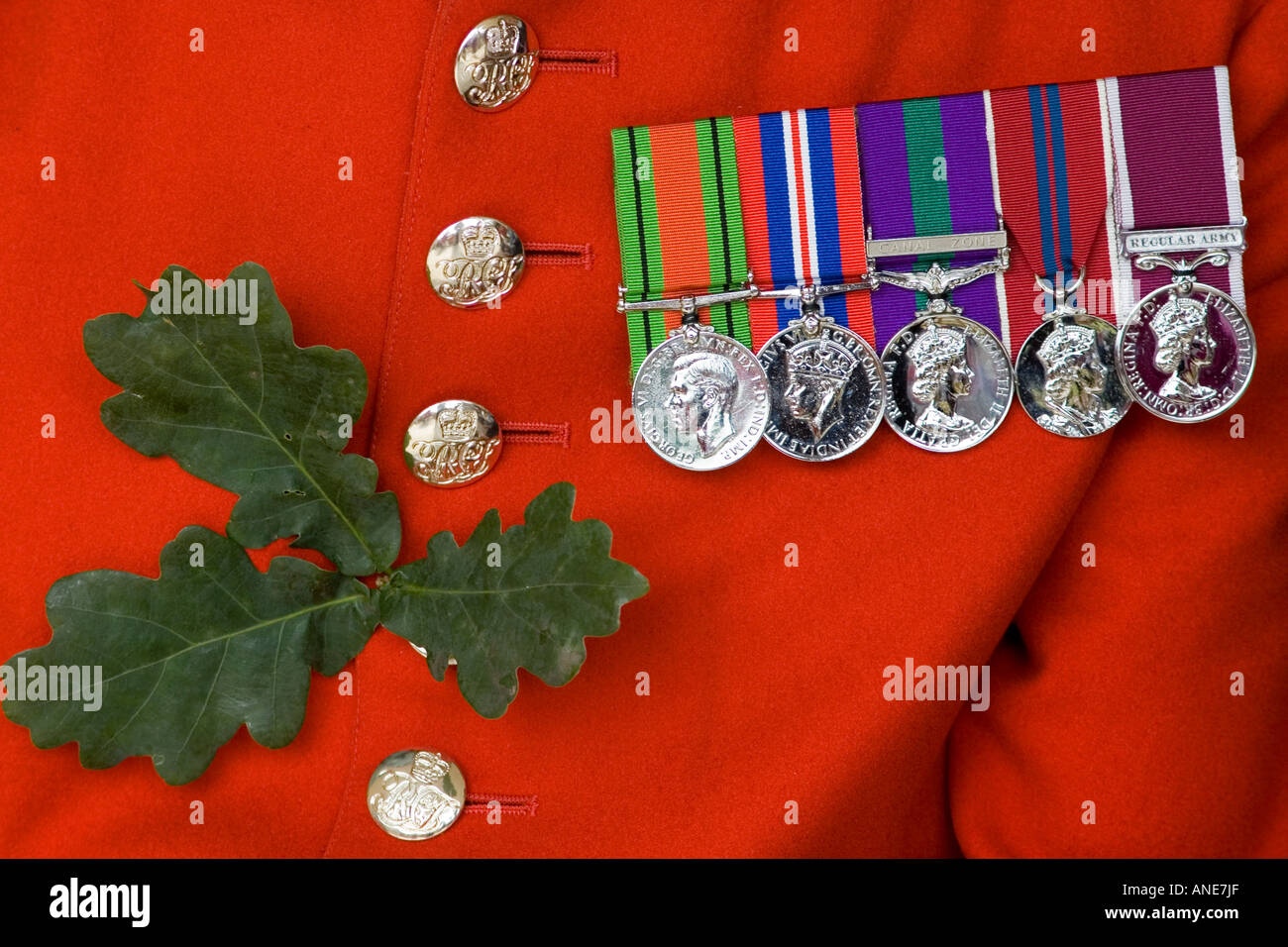 Medaillen von Chelsea Rentner auf Gründer s Day Parade London Vereinigtes Königreich getragen Stockfoto