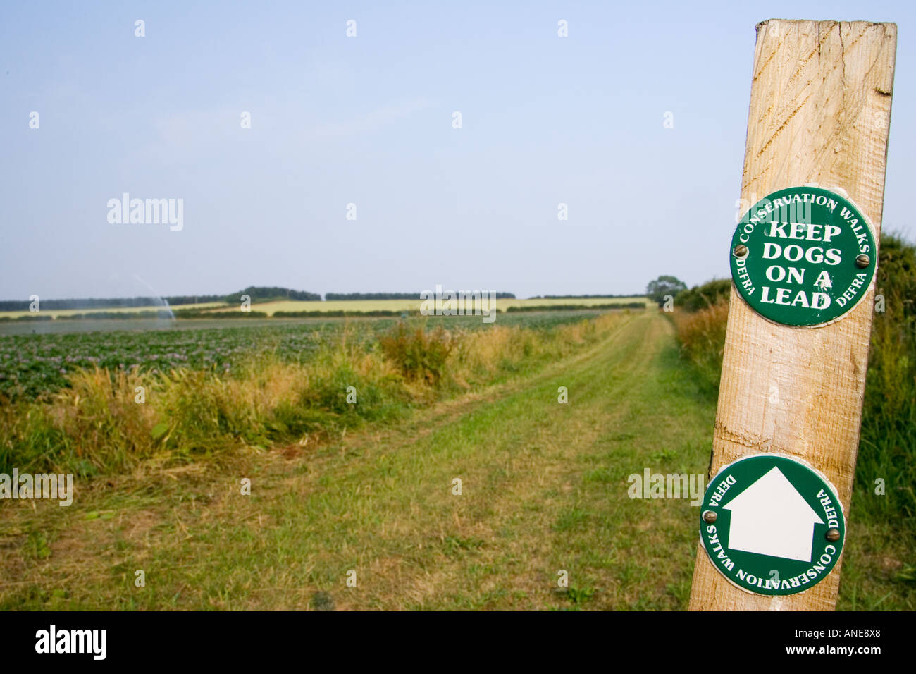 Halten Sie Hunde auf A führen Wegweiser durch eine DEFRA Erhaltung zu Fuß in der Nähe von Holkham Norfolk UK Stockfoto