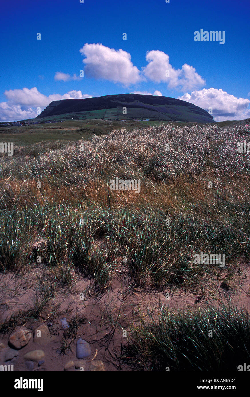 Strandhill Stockfoto