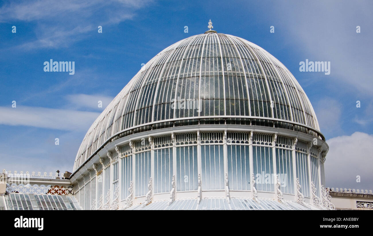 Palm House, Belfast Botanic Gardens, N. Irland Stockfoto