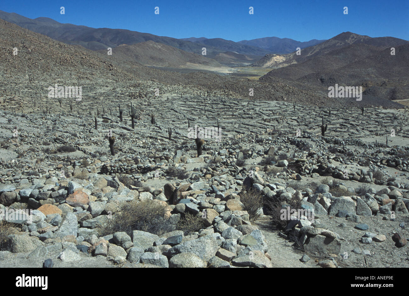 Landschaft mit kleine Stein gebaut Gehäuse Anden-NW-Argentinien Stockfoto