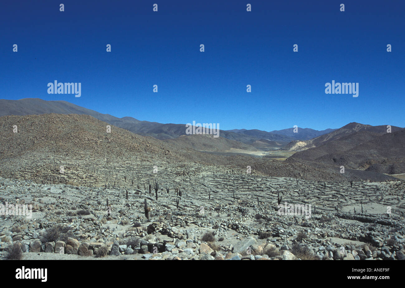 Panaromic Ansicht des Anden-Tals Walled Gehäuse Stockfoto