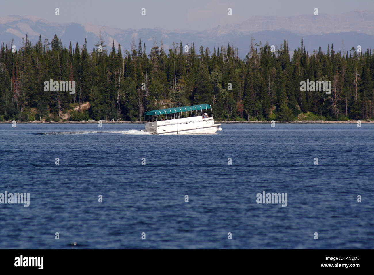 Öffentlichen Personennahverkehrs Ferrry Boot auf See Jenny, Grand Teton, Wyoming Stockfoto