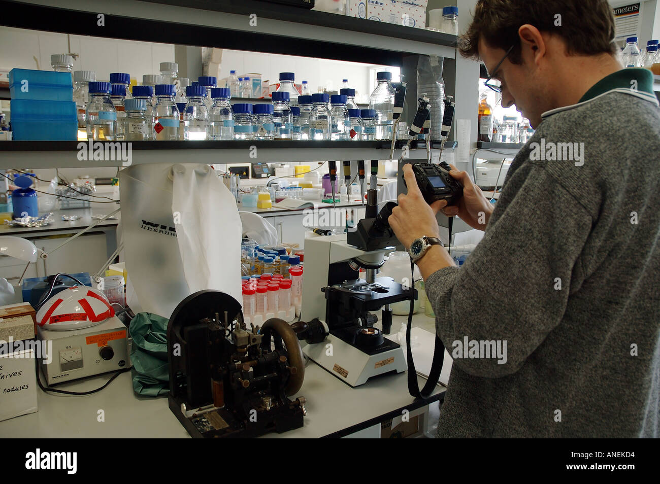 Student der Universität Forschung mit Digitalkamera und Binokular in echte Arbeit Biochemie Labor Nein Herr Stockfoto
