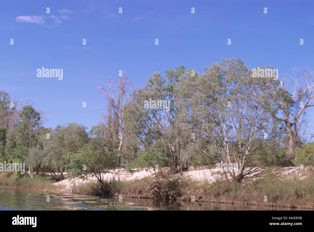 Alligator River, sandigen Bank, Kakadu National Park, Nord-Australien. Stockfoto