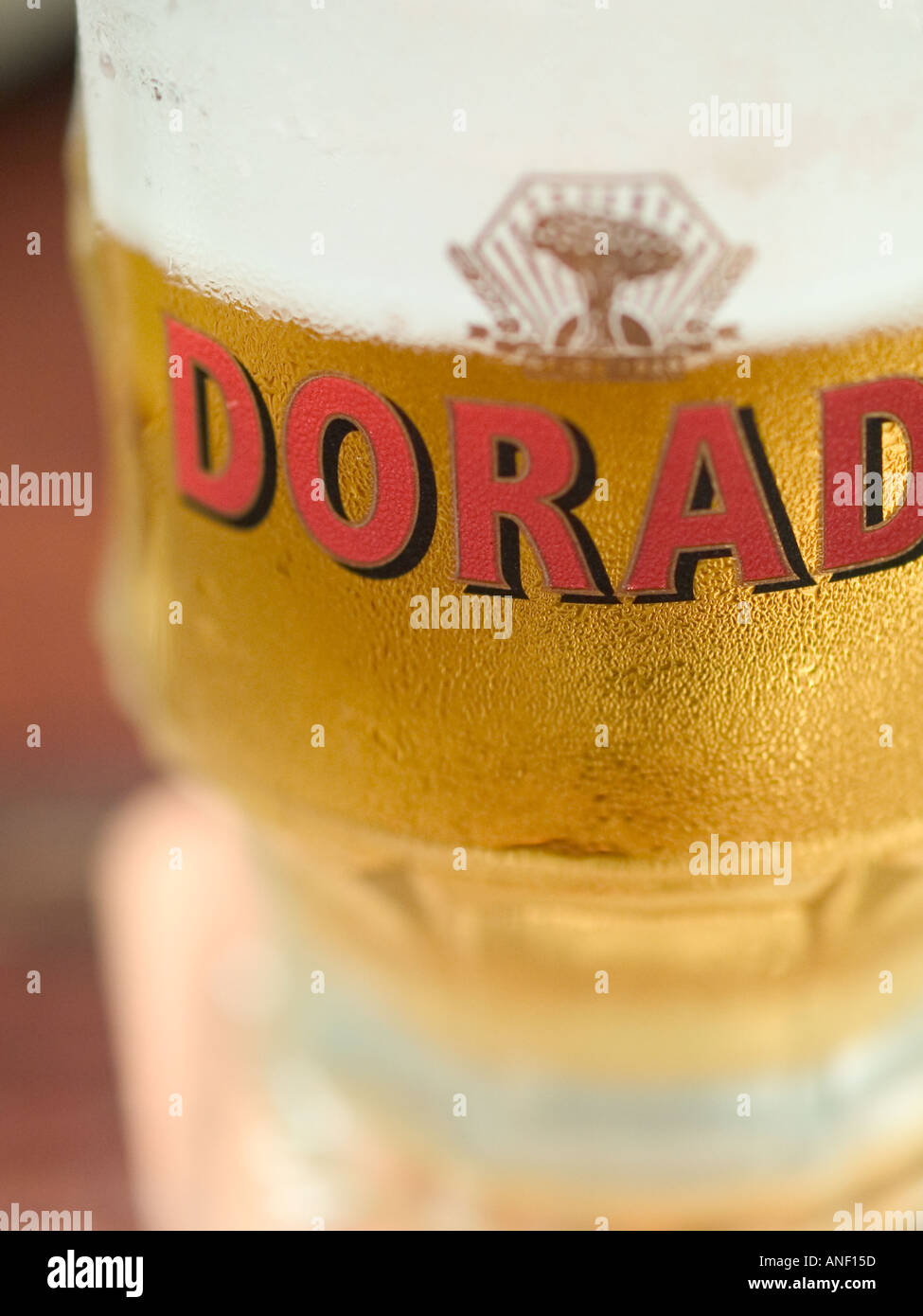 Dorada spanische Bier scharf auf kleine Zone nur Stockfotografie - Alamy
