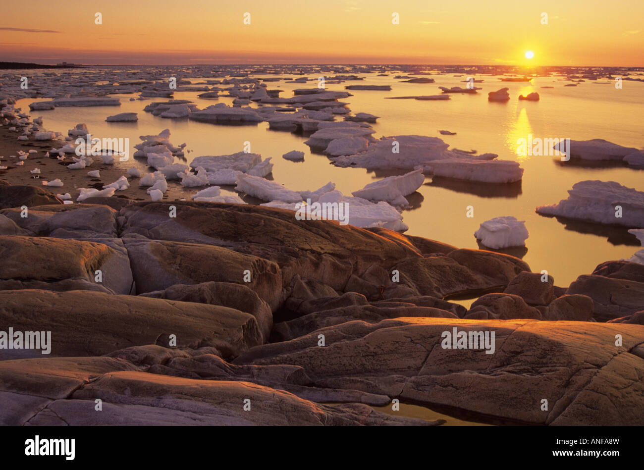 Eisschollen am Hudson Bay in Churchill, Manitoba, Kanada. Stockfoto