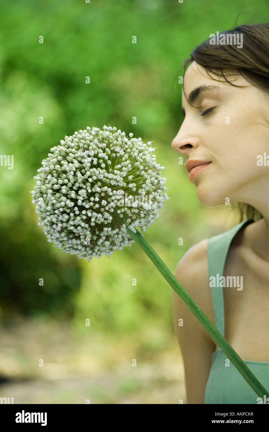 Frau duftenden Allium Blume, Augen geschlossen, Profil Stockfoto