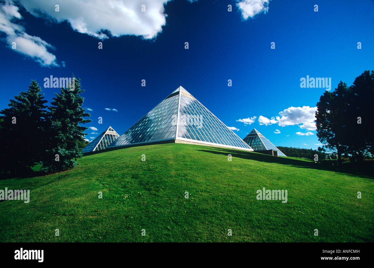 Muttart Conservatory ist ein botanischer Garten befindet sich in der North Saskatchewan River Valley, gegenüber dem Stadtzentrum von Edmonton, albert Stockfoto