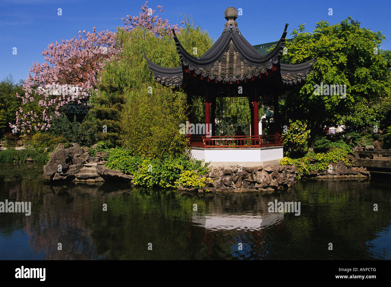 Dr. Sun Yat-Sen Classical Chinese Garden, Chinatown, Vancouver, Britisch-Kolumbien, Kanada Stockfoto
