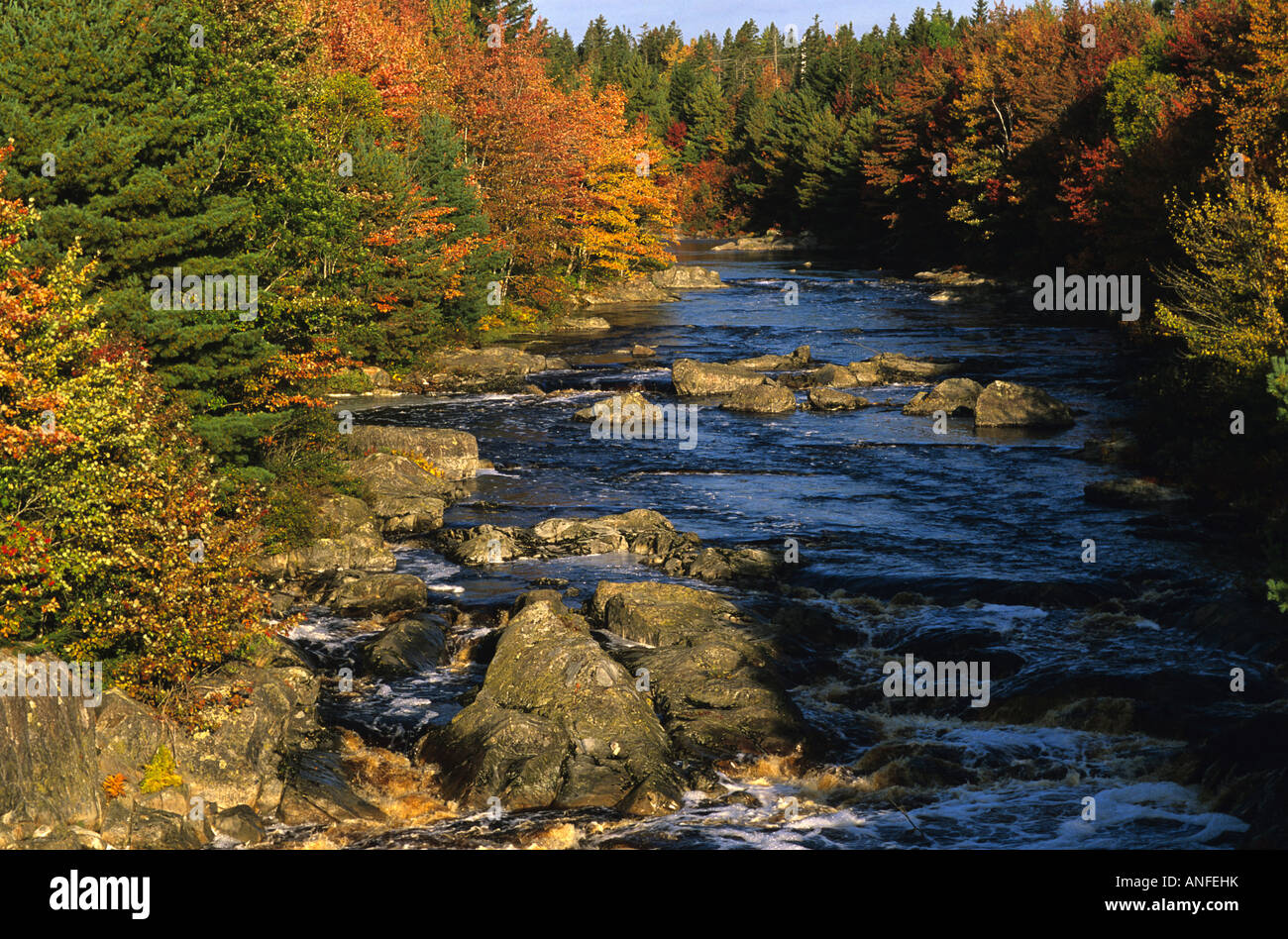 Sable River geschmückt mit fallen Farben, Nova Scotia, Kanada Stockfoto