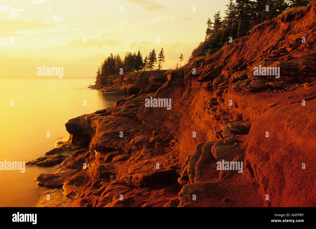 Sandsteinfelsen, Seacow Kopf, Prince Edward Island, Canada Stockfoto