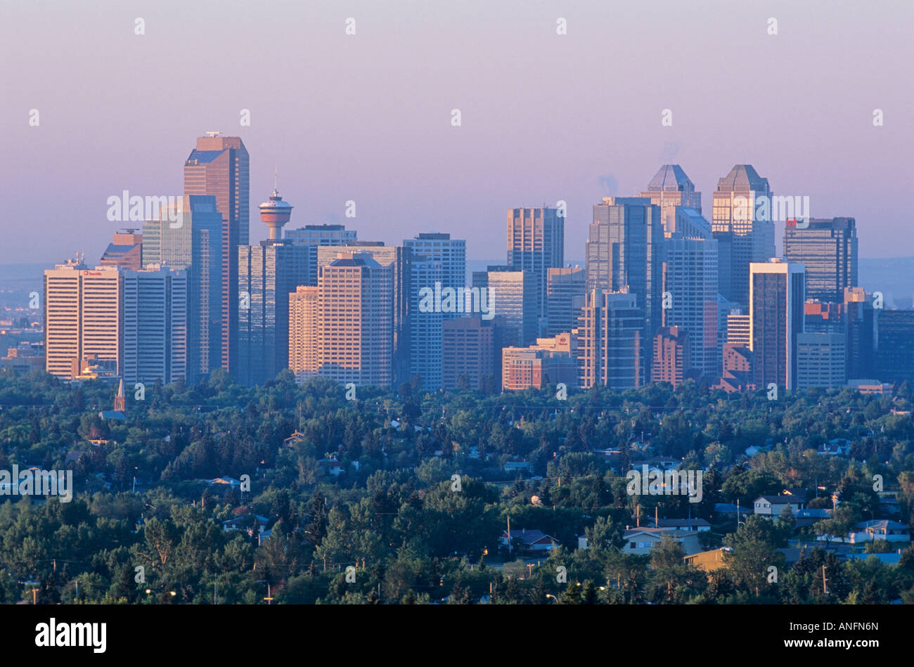 Skyline von Calgary, Alberta, Kanada. Stockfoto