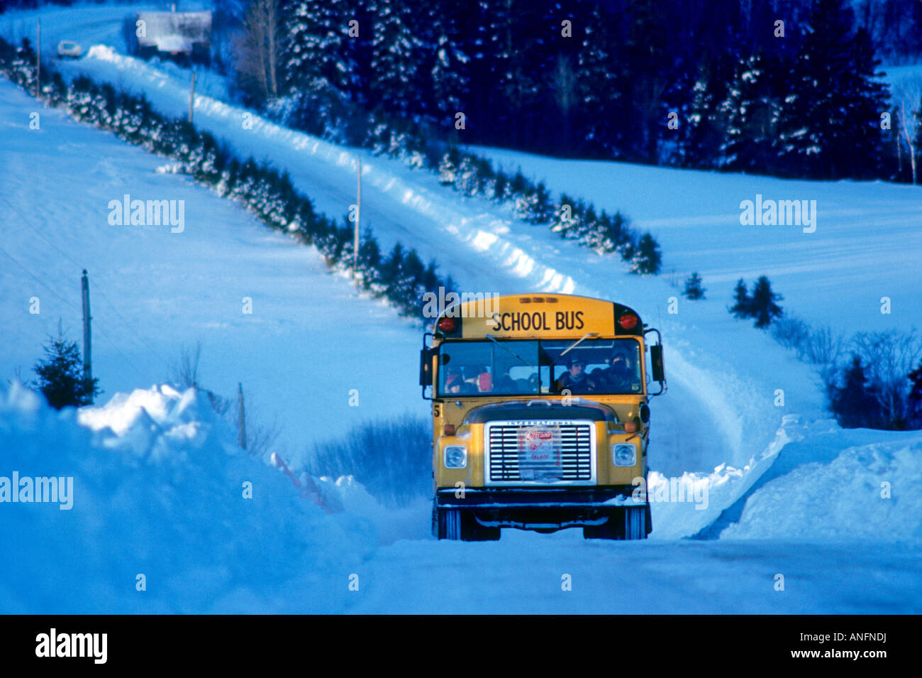 Schulbus in Riverdale, Prince Edward Island, Kanada. Stockfoto
