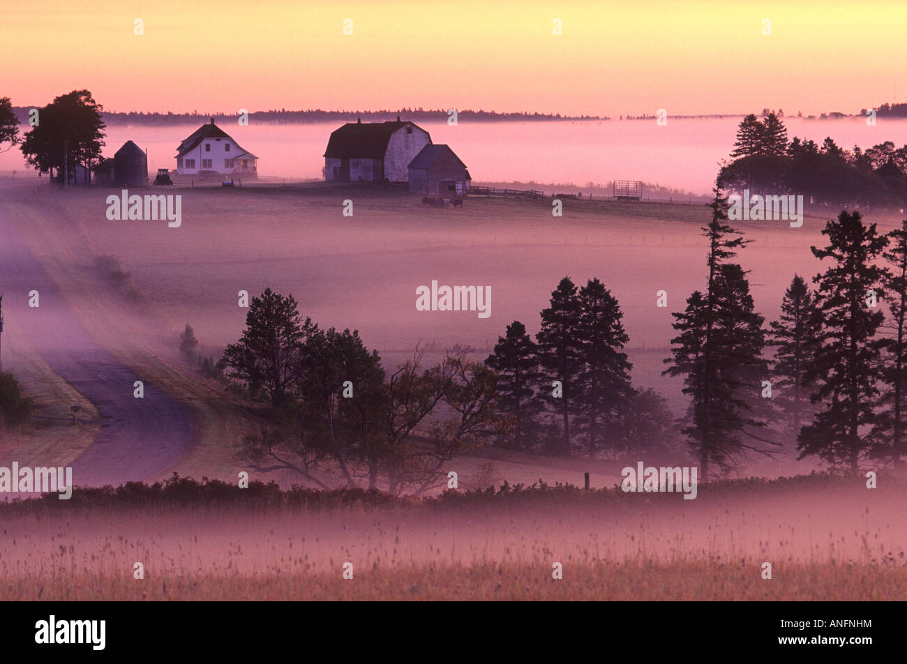 Bauernhof im Morgennebel, Clyde River, Prince Edward Island, Kanada. Stockfoto