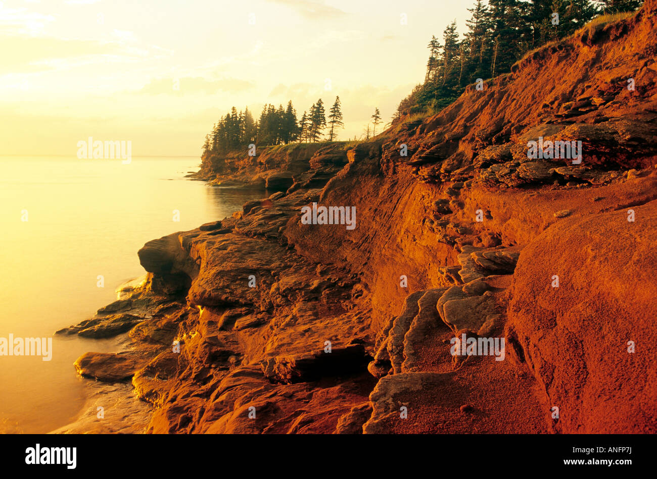 Sandstein-Klippen am Seacow Head, Prince Edward Island, Kanada. Stockfoto