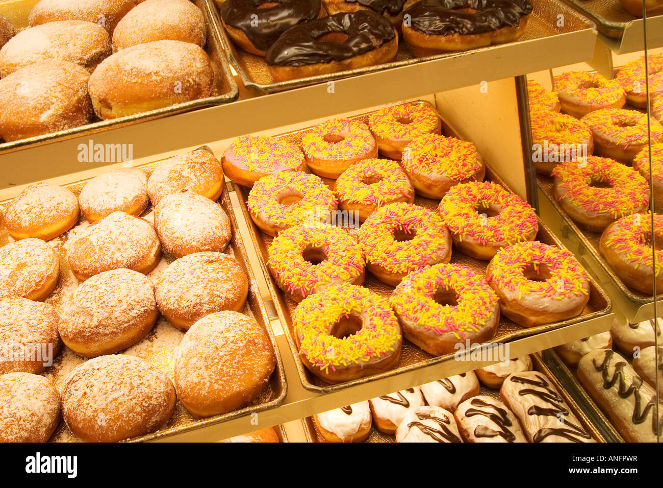 Schalen von Donuts im Donut-Shop, Kanada. Stockfoto