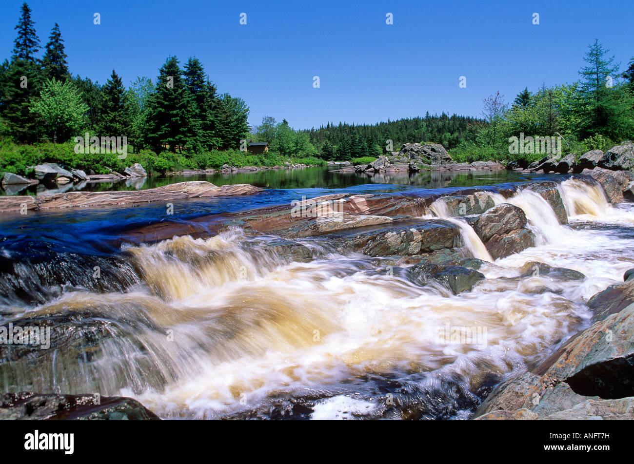 Wasserfall auf dem Liscomb River, Nova Scotia, Kanada. Stockfoto