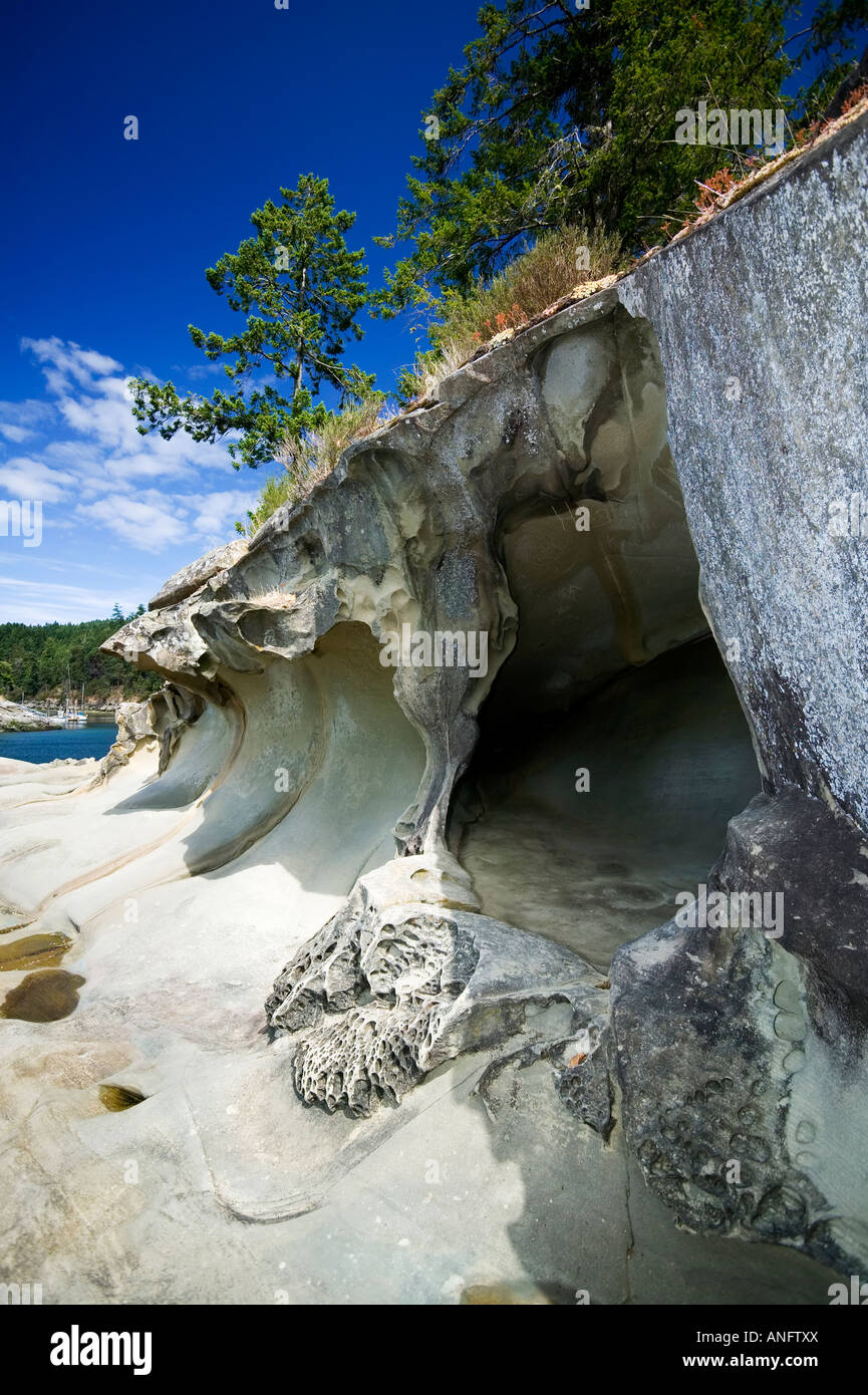 Klippe Sandsteinformation im Retreat Cove, Galiano Island, British Columbia, Kanada. Stockfoto