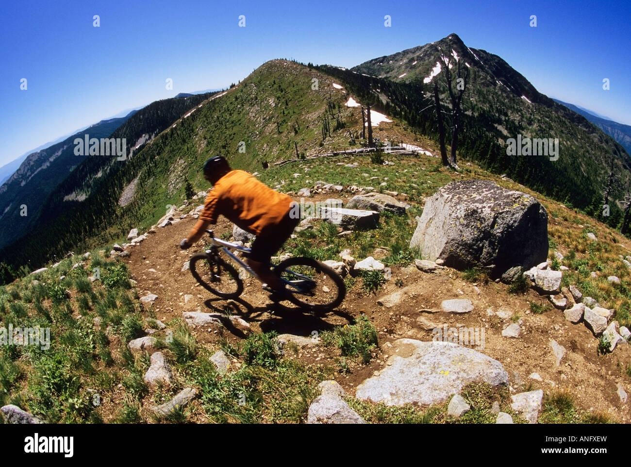 Ein junger Mann einst auf einige süße single Track auf den Seven Summits Spuren in Rossland, British Columbia, Kanada. Stockfoto