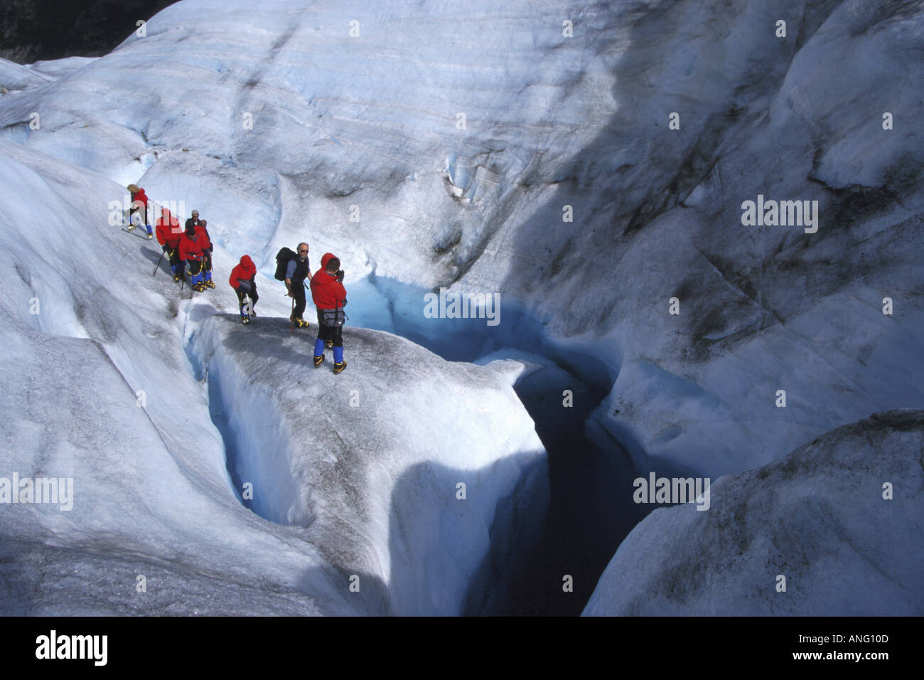 Wanderer, die Kreuzung Icefield bei Thiel Gletscher Juneau SE AK scenic Stockfoto