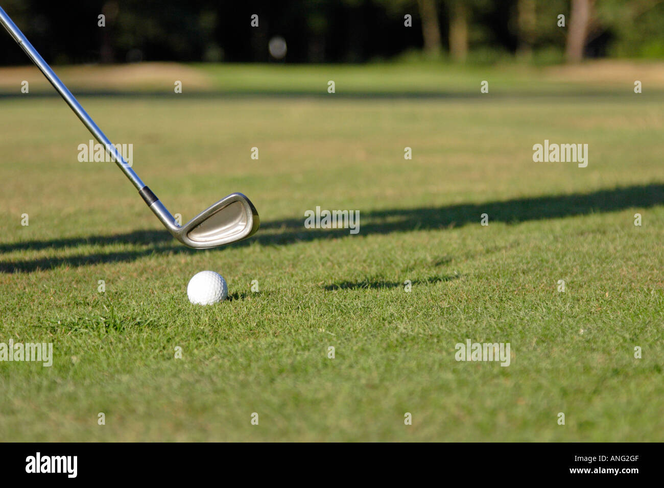 Nahaufnahme eines Golfballs und Eisen auf Fairway am Golfplatz Stockfoto