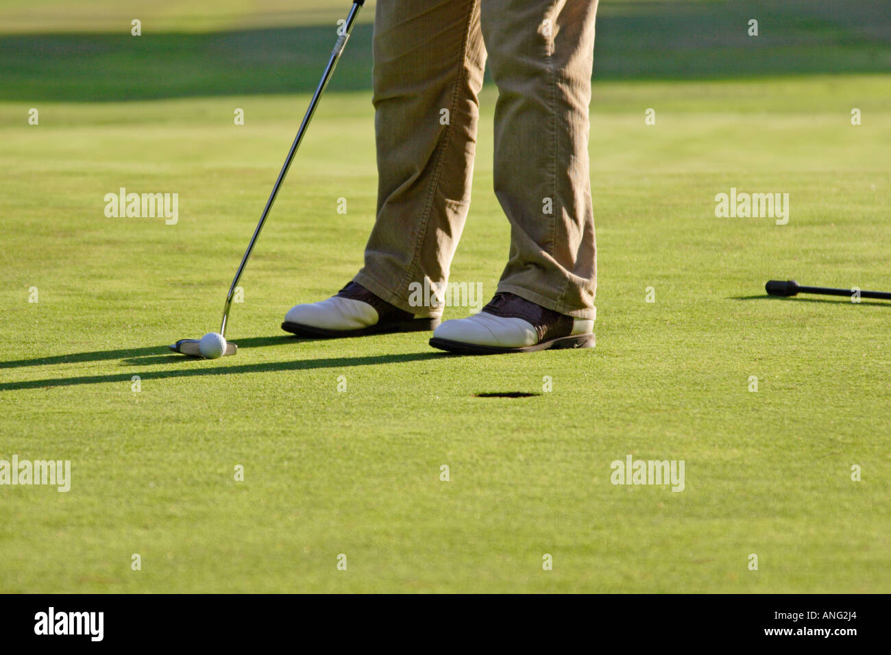 Golfer, die Schlange Putt auf Putting green Stockfoto