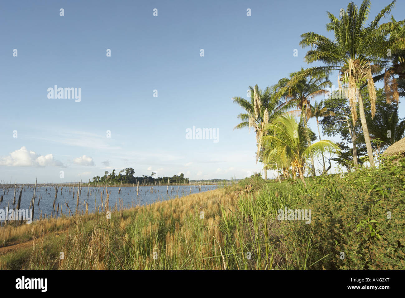 Die Brokopondo-Stausee im Inneren des Suriname von Maroon Dorfes Lebidoti aus gesehen Stockfoto