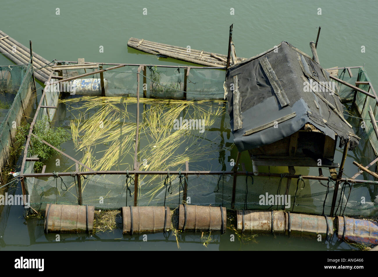 Fischfarm auf dem Fluss Li, Yangshuo, Guangxi, China. Stockfoto