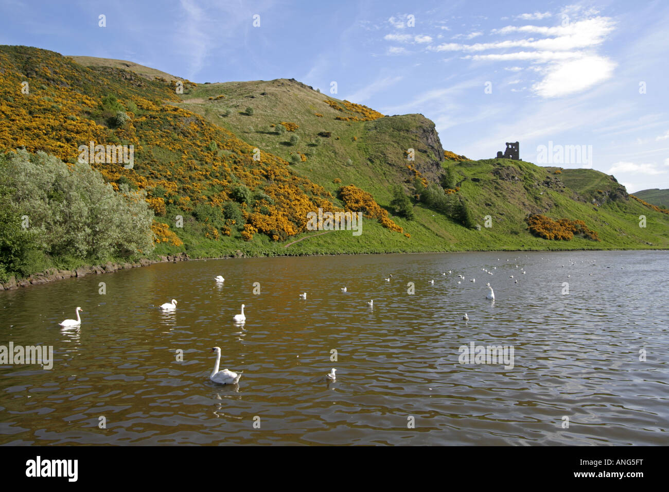 St. Margaret Loch.is eine vom Menschen verursachte Loch an der Seite der Königin Laufwerk im Holyrood Park, Edinburgh Schottland. Stockfoto