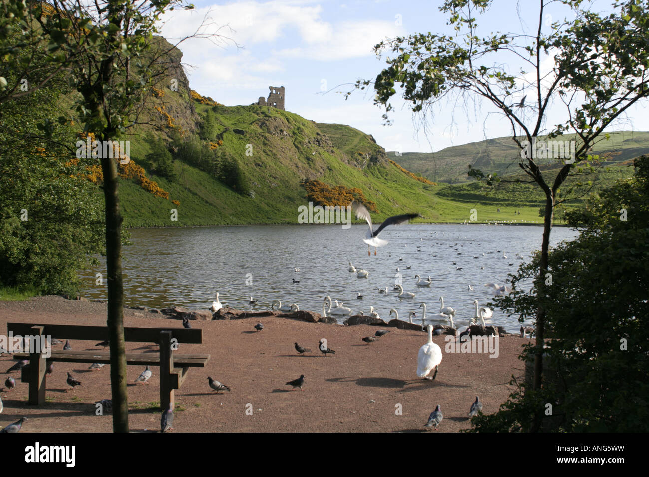 St. Margaret Loch.is eine vom Menschen verursachte Loch an der Seite der Königin Laufwerk im Holyrood Park, Edinburgh Schottland. Stockfoto