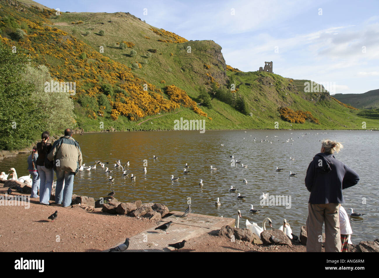 St. Margaret Loch.is eine vom Menschen verursachte Loch an der Seite der Königin Laufwerk im Holyrood Park, Edinburgh Schottland. Stockfoto