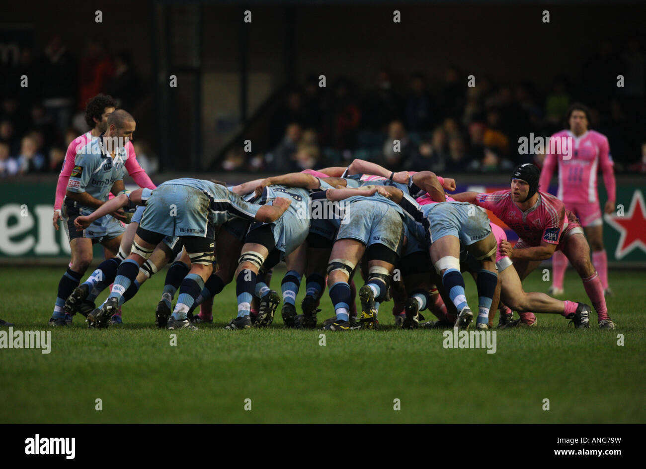 Rugby union Scrum blau rosa Homosexuell Farbe Stockfoto