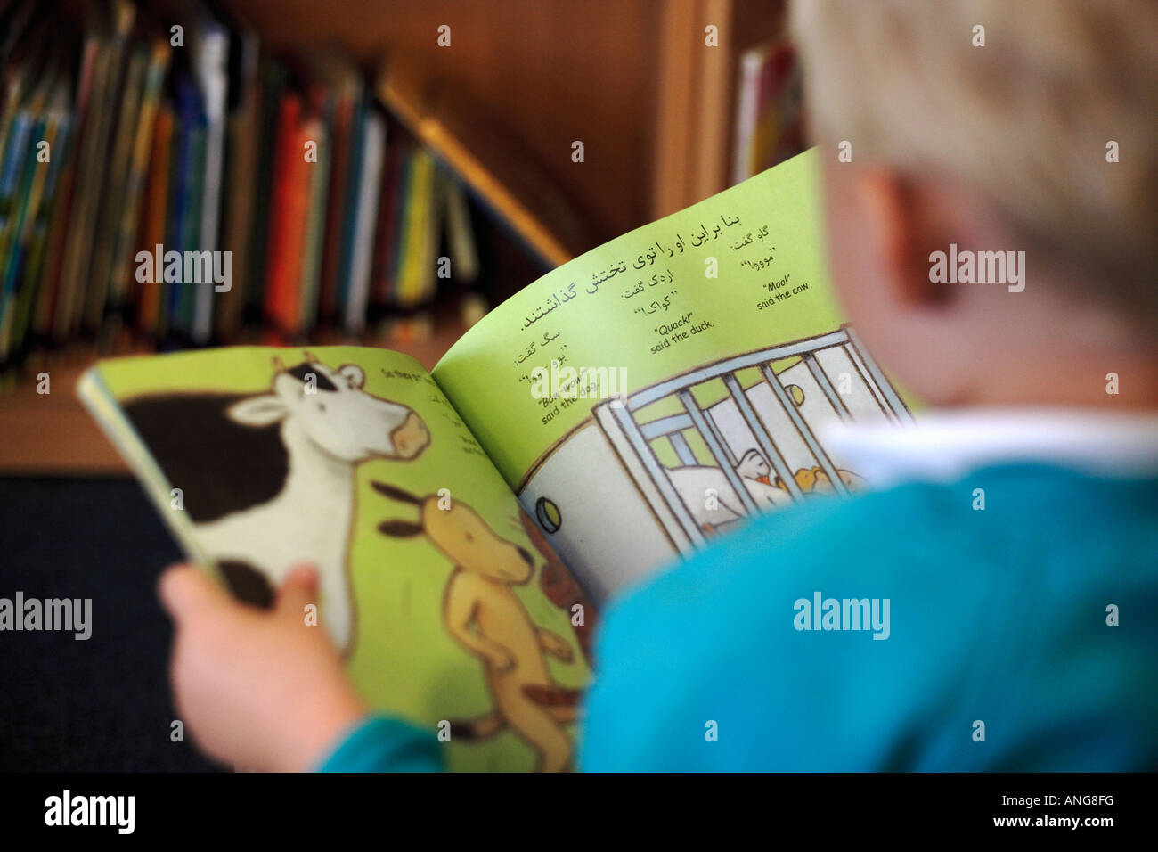 Ein Kind, das Lesen eines Buches in verschiedenen Sprachen in einer Schule in Großbritannien Stockfoto