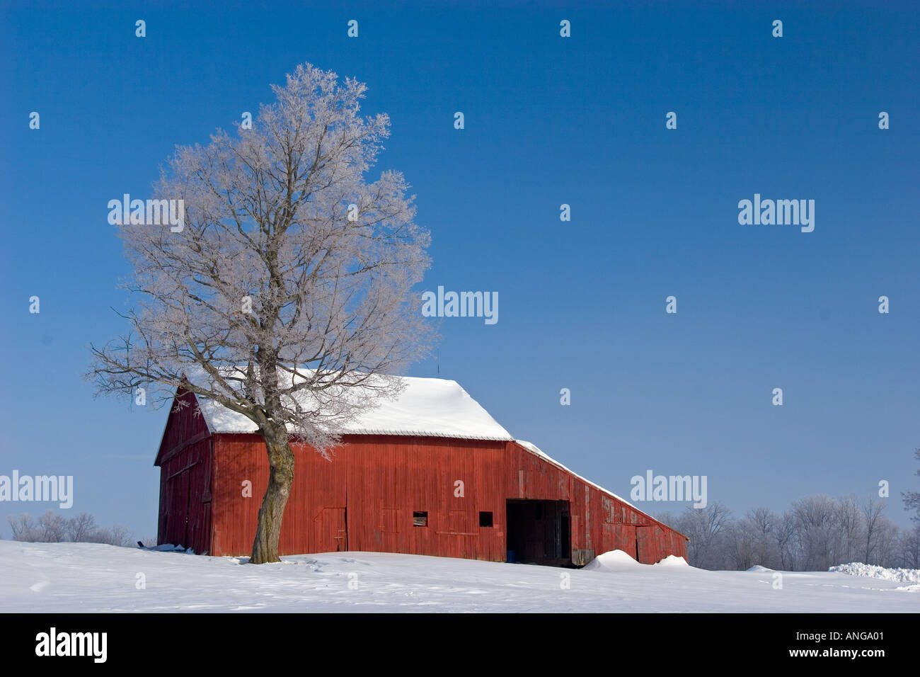 Rote Scheune in Indiana Winter Stockfoto