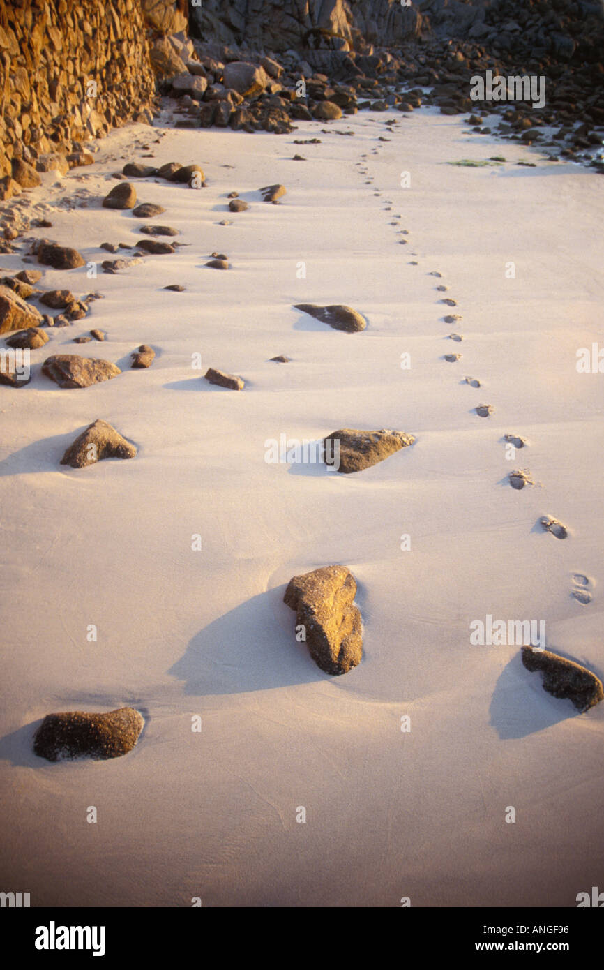 Footprints in the Sand Stockfoto